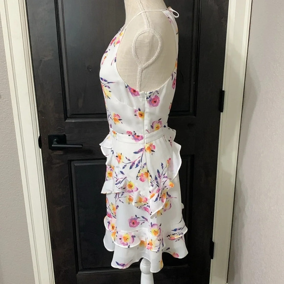 Parker NY Primrose Dress Sz S - Picture 3 of 11